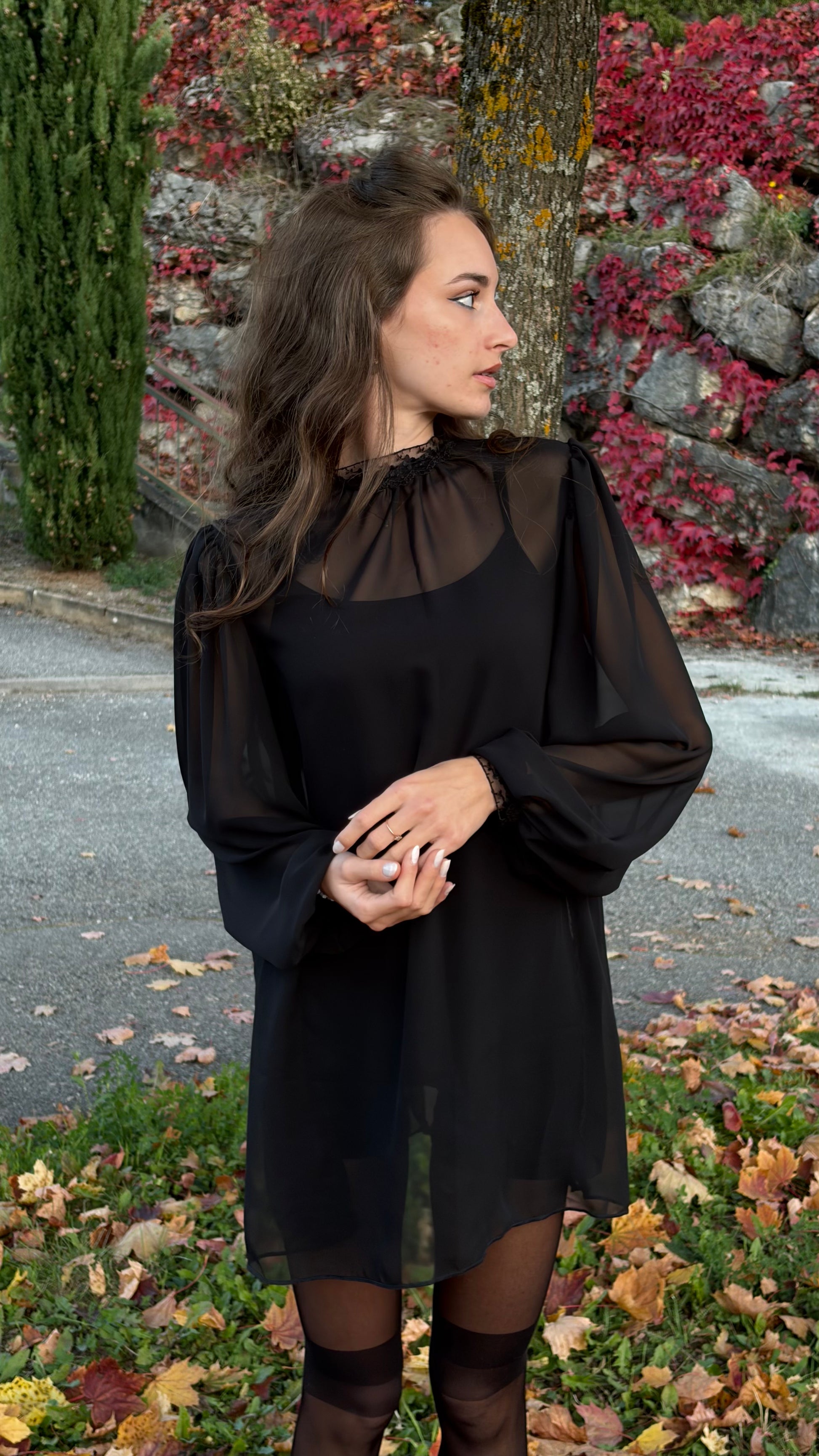 Robe courte transparente